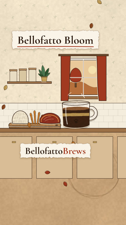 Bellofatto Bloom | Medium Roast Mushroom Blend illustrated hero